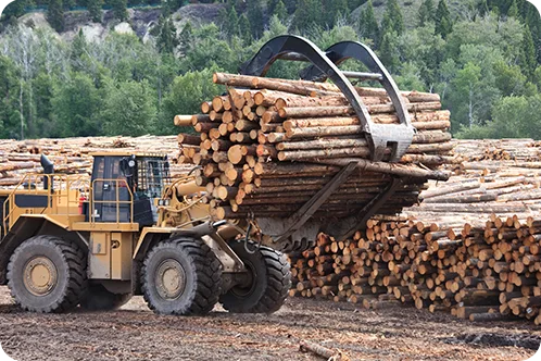 Equipment hauling logs across logging field